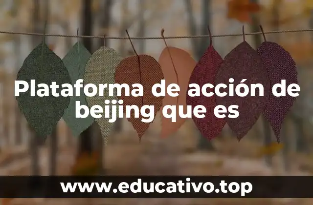 Plataforma de acción de beijing que es