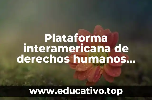 Plataforma interamericana de derechos humanos democracia y desarrollo que es