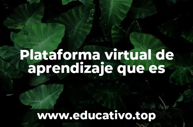 Plataforma virtual de aprendizaje que es