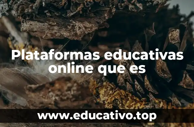 Plataformas educativas online que es