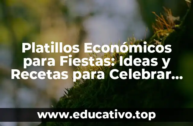 Platillos Económicos para Fiestas: Ideas y Recetas para Celebrar con Sabor y Presupuesto