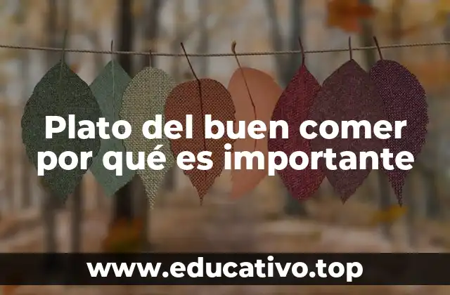 Plato del buen comer por qué es importante