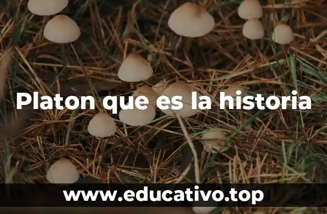 Platon que es la historia
