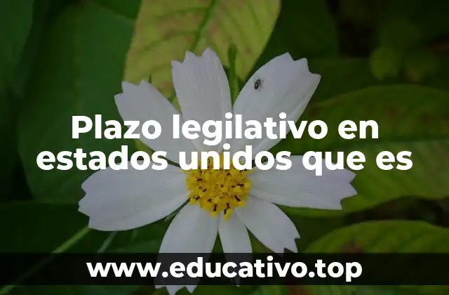 Plazo legilativo en estados unidos que es