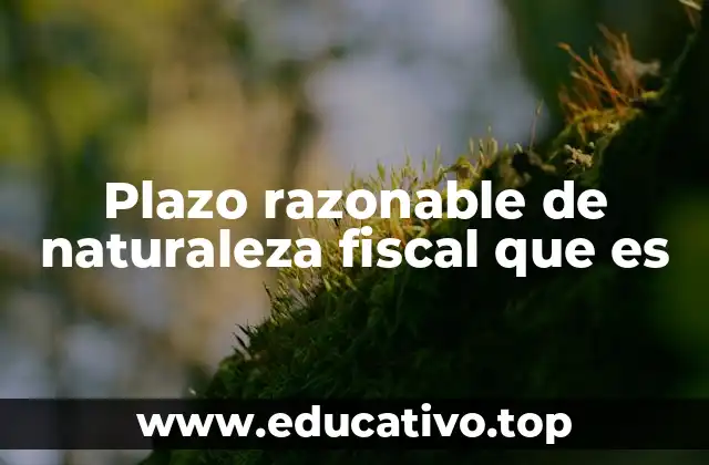 Plazo razonable de naturaleza fiscal que es