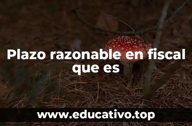 Plazo razonable en fiscal que es
