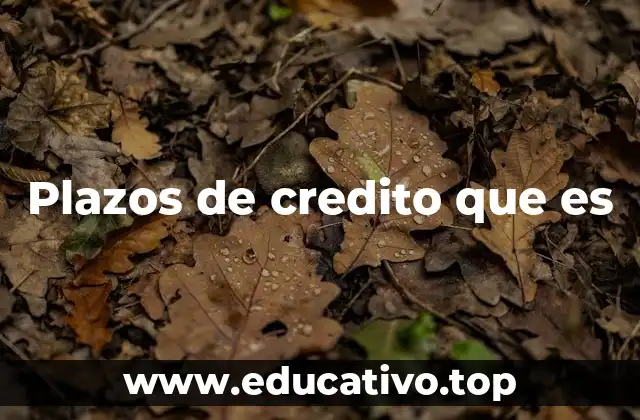 Plazos de credito que es