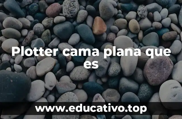 Plotter cama plana que es