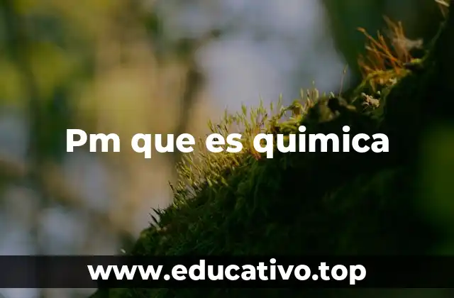 Pm que es quimica