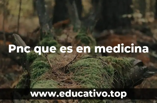 Pnc que es en medicina