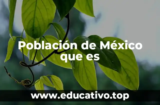 Población de México que es