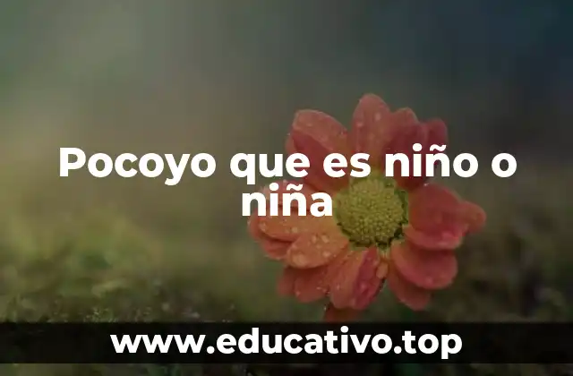 Pocoyo que es niño o niña