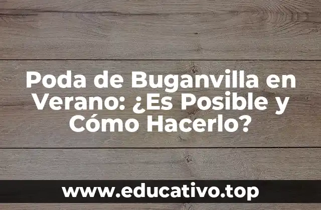 Poda de Buganvilla en Verano: ¿Es Posible y Cómo Hacerlo?