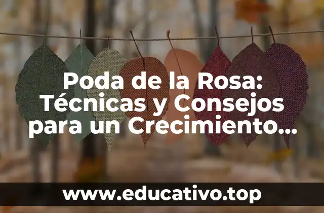 Poda de la Rosa: Técnicas y Consejos para un Crecimiento Saludable