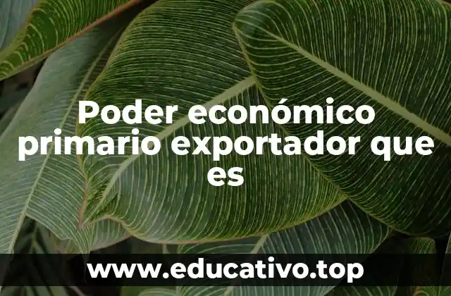 Poder económico primario exportador que es