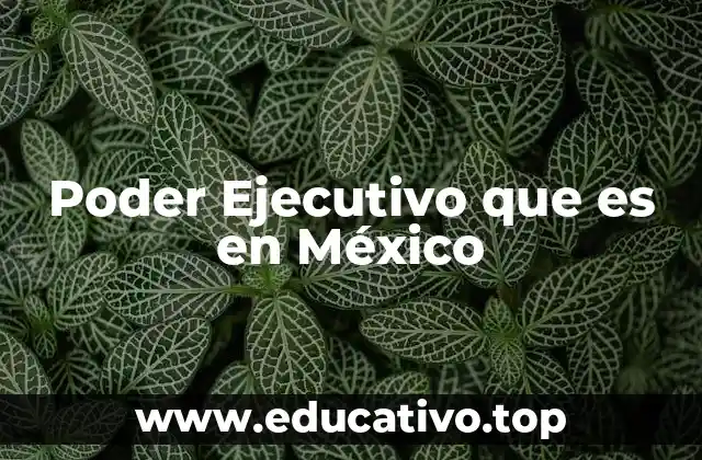 Poder Ejecutivo que es en México