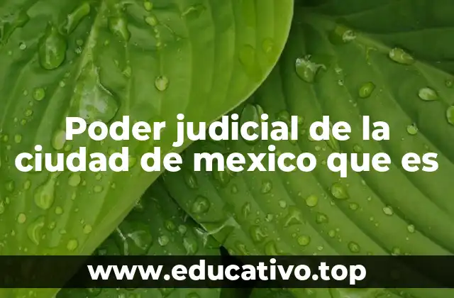 Poder judicial de la ciudad de mexico que es