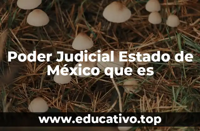 Poder Judicial Estado de México que es