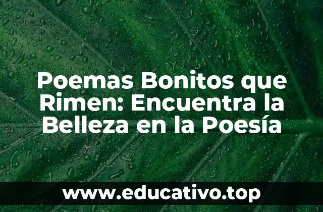 Poemas Bonitos que Rimen: Encuentra la Belleza en la Poesía