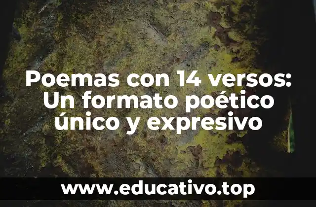 Poemas con 14 versos: Un formato poético único y expresivo