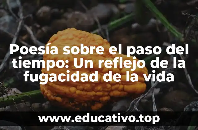 Poesía sobre el paso del tiempo: Un reflejo de la fugacidad de la vida