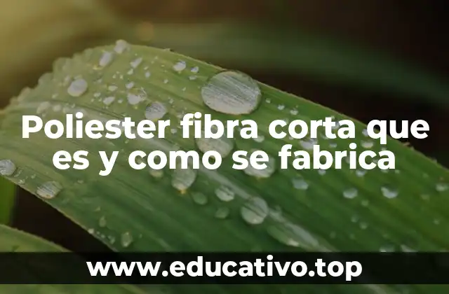 Poliester fibra corta que es y como se fabrica