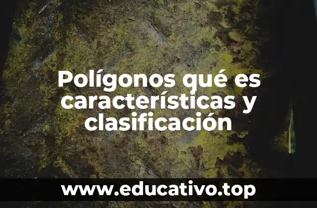 Polígonos qué es características y clasificación