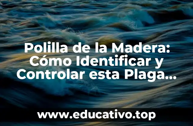 Polilla de la Madera: Cómo Identificar y Controlar esta Plaga Común