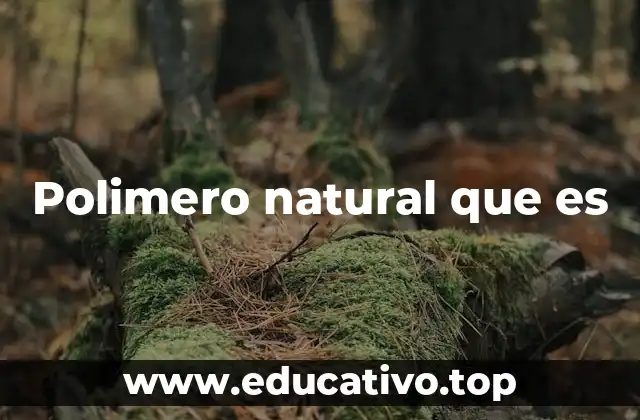 Polimero natural que es