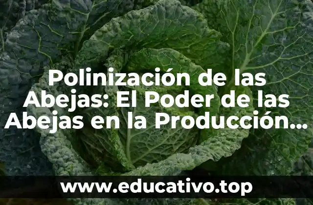Polinización de las Abejas: El Poder de las Abejas en la Producción de Alimentos