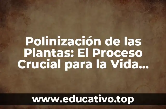 Polinización de las Plantas: El Proceso Crucial para la Vida Vegetal
