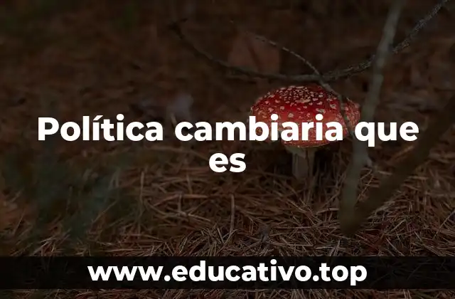 Política cambiaria que es