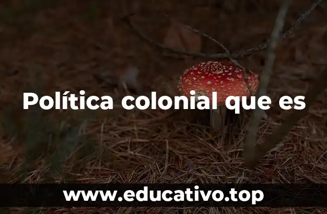 Política colonial que es