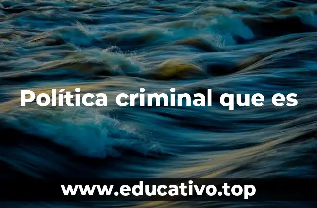 Política criminal que es
