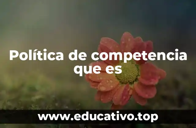 Política de competencia que es