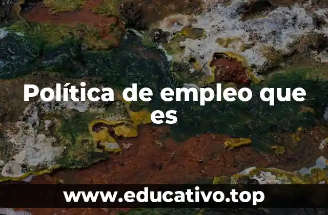 Política de empleo que es