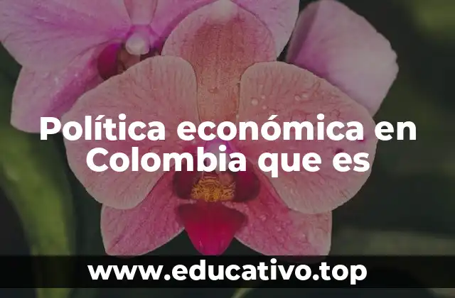 Política económica en Colombia que es