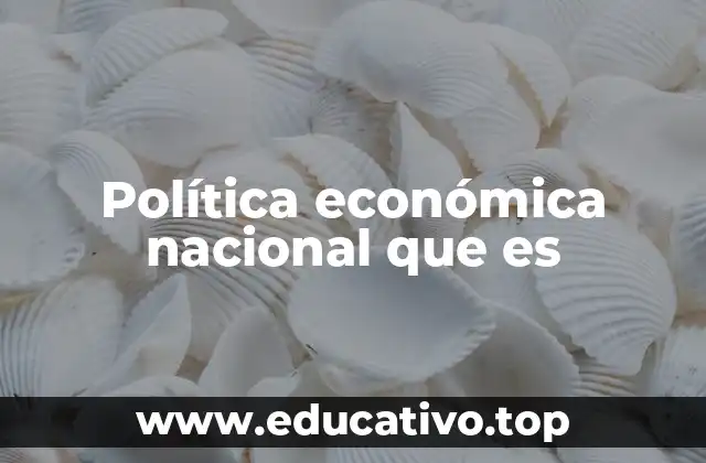 Política económica nacional que es