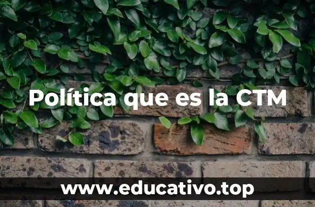 Política que es la CTM