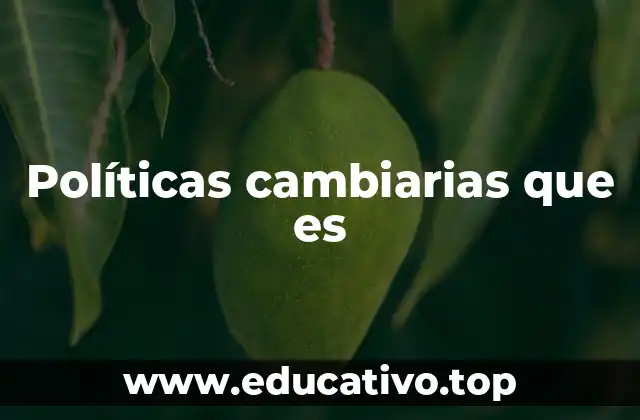 Políticas cambiarias que es