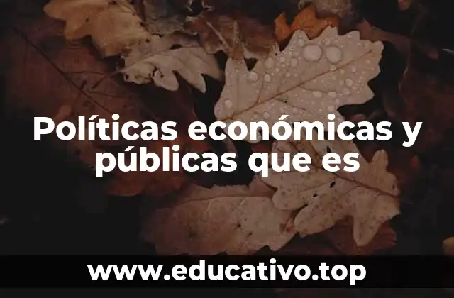 Políticas económicas y públicas que es