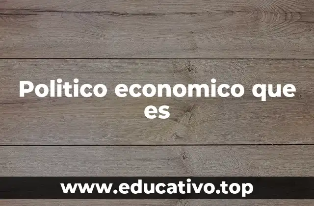 Politico economico que es