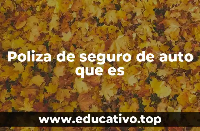 Poliza de seguro de auto que es
