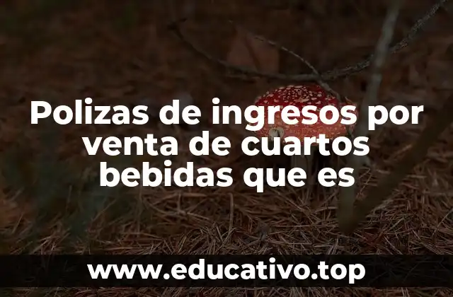 Polizas de ingresos por venta de cuartos bebidas que es