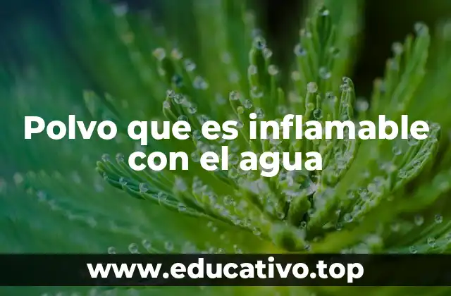 Polvo que es inflamable con el agua