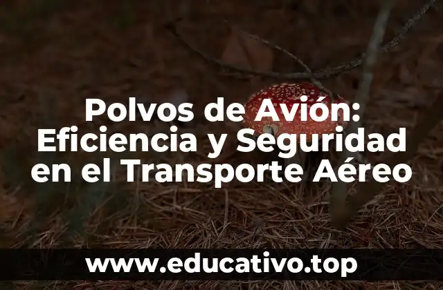 Polvos de Avión: Eficiencia y Seguridad en el Transporte Aéreo