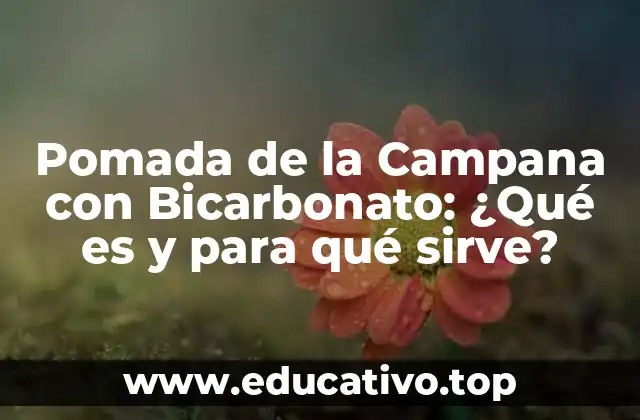 Pomada de la Campana con Bicarbonato: ¿Qué es y para qué sirve?