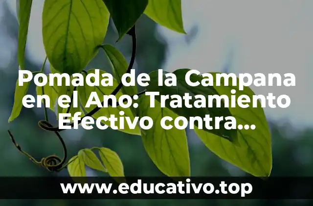 Pomada de la Campana en el Ano: Tratamiento Efectivo contra Hemorroides y Fisuras