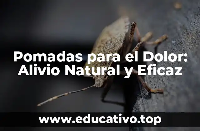 Pomadas para el Dolor: Alivio Natural y Eficaz