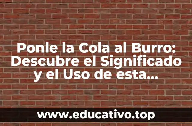 Ponle la Cola al Burro: Descubre el Significado y el Uso de esta Expresión Idiomática